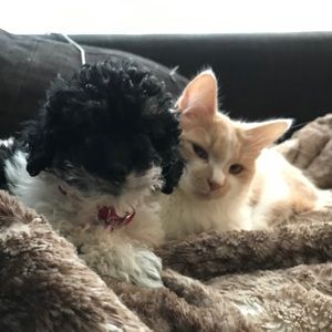 Meet your Posher, Jasmine